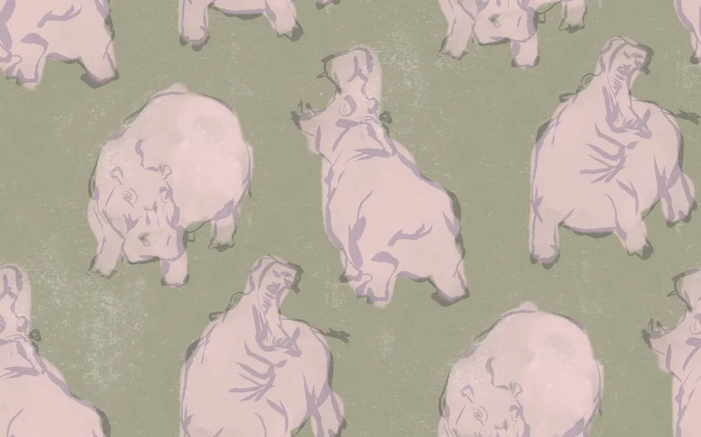 Wild Animal Wallpaper